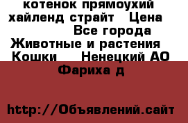 котенок прямоухий  хайленд страйт › Цена ­ 10 000 - Все города Животные и растения » Кошки   . Ненецкий АО,Фариха д.